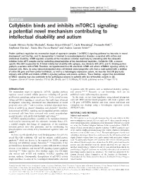 Collybistin Binds and Inhibits Mtorc1 Signaling: a Potential Novel Mechanism Contributing to Intellectual Disability and Autism
