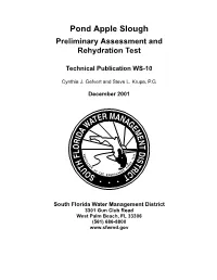 Pond Apple Slough Preliminary Assessment & Rehydration Test