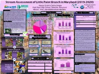Stream Assessment of Little Paint Branch In