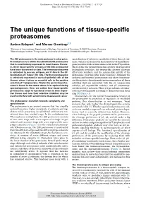 The Unique Functions of Tissue-Specific Proteasomes