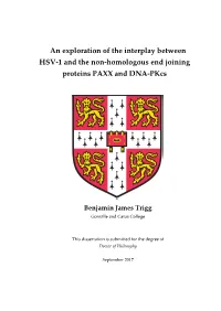 An Exploration of the Interplay Between HSV-1 and the Non-Homologous End Joining Proteins PAXX and DNA-Pkcs