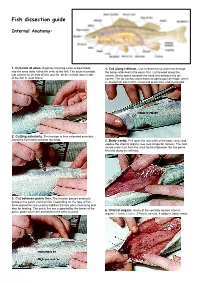 Fish Dissection Guide
