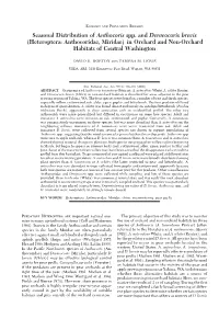 Heteroptera: Anthocoridae, Miridae) in Orchard and Non-Orchard Habitats of Central Washington