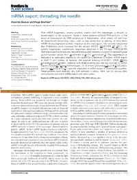 Mrna Export: Threading the Needle