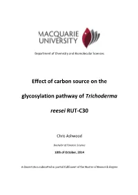 Effect of Carbon Source on the Glycosylation Pathway Of