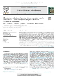 Arthropod Structure & Development