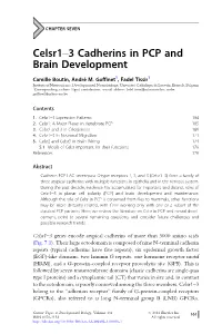 Celsr1-3 Cadherins in PCP and Brain Development