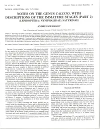 Notes on the Genus Calisto, with Descriptions of the Immature Stages (Part 2) (Lepidoptera: Nymphalidae: Satyrinae)