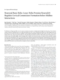 Neuronal Basic Helix–Loop–Helix Proteins Neurod2/6 Regulate Cortical Commissure Formation Before Midline Interactions