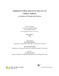 EMERGING PUBLIC SPACES in the CITY of AMMAN, JORDAN: an Analysis of Everyday Life Practices