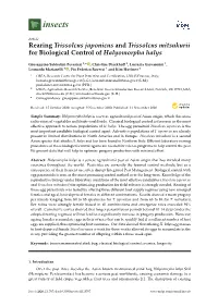 Rearing Trissolcus Japonicus and Trissolcus Mitsukurii for Biological Control of Halyomorpha Halys