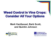 What's New in Weed Control for Processing Vegetables
