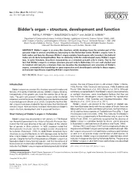 Bidder's Organ – Structure, Development and Function