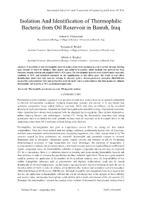 Isolation and Identification of Thermophilic Bacteria from Oil Reservoir in Basrah, Iraq
