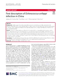 First Description of Echinococcus Ortleppi Infection in China Yunliang Shi1, Xiaoling Wan1, Ziyue Wang2, Jun Li1, Zhihua Jiang1 and Yichao Yang1*