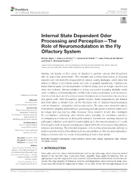Internal State Dependent Odor Processing and Perception—The Role of Neuromodulation in the Fly Olfactory System