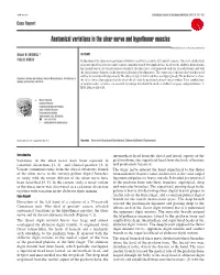 Anatomical Variations in the Ulnar Nerve and Hypothenar Muscles