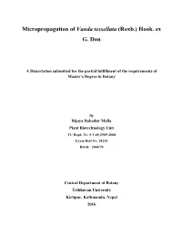 Micropropagation of Vanda Tessellata (Roxb.) Hook. Ex G. Don
