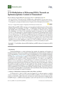 O-Methylation of Ribosomal RNA: Towards an Epitranscriptomic Control of Translation?
