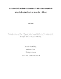 A Phylogenetic Assessment of Flatfish (Order Pleuronectiformes)