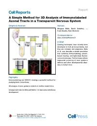 A Simple Method for 3D Analysis of Immunolabeled Axonal Tracts in a Transparent Nervous System