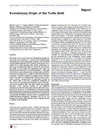 Evolutionary Origin of the Turtle Shell
