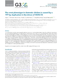 The Crest Phenotype in Domestic Chicken Is Caused by a 197 Bp Duplication in the Intron of HOXC10