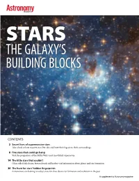 The Galaxy's Building Blocks