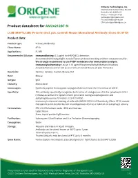 LC3B (MAP1LC3B) (N-Term) (Incl. Pos. Control) Mouse Monoclonal Antibody [Clone ID: 5F10] Product Data
