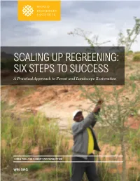 REGREENING: SIX STEPS to SUCCESS a Practical Approach to Forest and Landscape Restoration