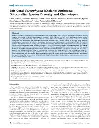 Soft Coral Sarcophyton (Cnidaria: Anthozoa: Octocorallia) Species Diversity and Chemotypes