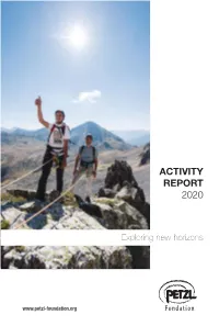 Activity Report 2020