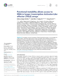 Functional Instability Allows Access to DNA in Longer Transcription Activator-Like Effector (TALE) Arrays