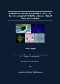Study of Molecular and Immunological Factors That Determine the Sensitivity to the Antitumor Effect of Tumor Necrosis Factor