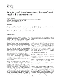 (Orchidaceae): an Addition to the Flora of Andaman & Nicobar Islands, India