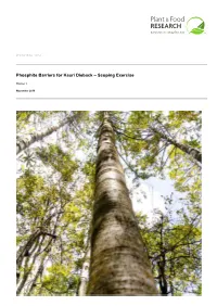 Phosphite Barriers for Kauri Dieback – Scoping Exercise