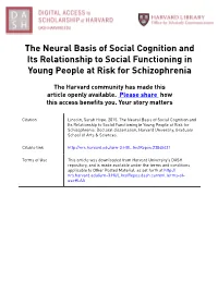 The Neural Basis of Social Cognition and Its Relationship to Social Functioning in Young People at Risk for Schizophrenia