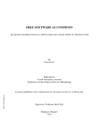 Free Software As Commons