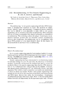 MIE Review.Pdf