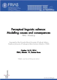 Perceptual Linguistic Salience: Modelling Causes and Consequences FRIAS - Workshop