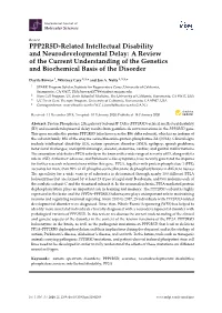PPP2R5D-Related Intellectual Disability and Neurodevelopmental Delay: a Review of the Current Understanding of the Genetics and Biochemical Basis of the Disorder