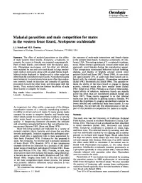 Schall and Dearing.Pdf