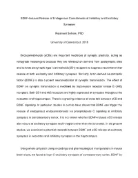 BDNF-Induced Release of Endogenous Cannabinoids at Inhibitory and Excitatory
