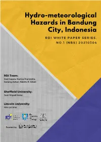 Hydro-Meteorological Hazards in Bandung City, Indonesia R D I W H I T E P a P E R S E R I E S , N O