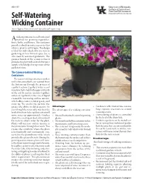 Self-Watering Wicking Container