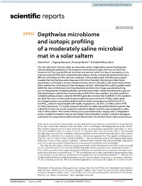 Depthwise Microbiome and Isotopic Profiling of a Moderately Saline