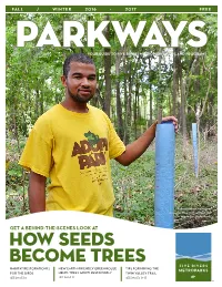 How Seeds Become Trees