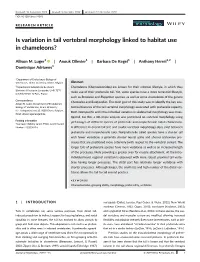 Is Variation in Tail Vertebral Morphology Linked to Habitat Use in Chameleons?