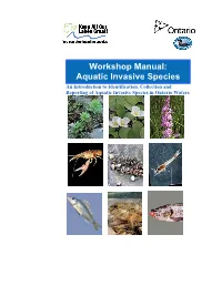 Workshop Manual: Aquatic Invasive Species