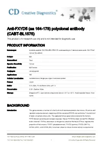 Anti-FXYD5 (Aa 164-178) Polyclonal Antibody (CABT-BL1575) This Product Is for Research Use Only and Is Not Intended for Diagnostic Use